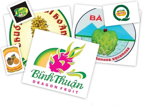 đăng Ký Bảo Hộ Chỉ Dẫn địa Lý