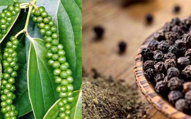 Dang Ky Nhan Hieu Cho Ho Tieu