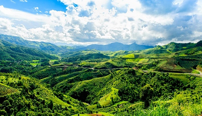 Dang Ky Nhan Hieu Tai Son La