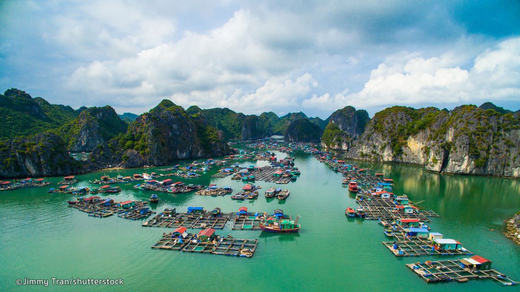 Dang Ky Kieu Dang Tai Hai Phong