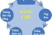 Quy Trinh Tham Dinh Don Sang Che