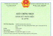 Cham Dut Va Huy Bo Van Bang Bao Ho