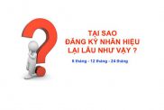 Tai Sao Dang Ky Nhan Hieu Lai Lau Nhu Vay
