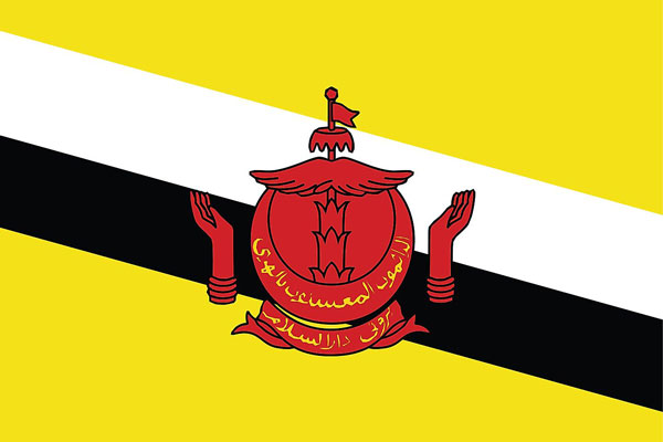 Brunei Flag