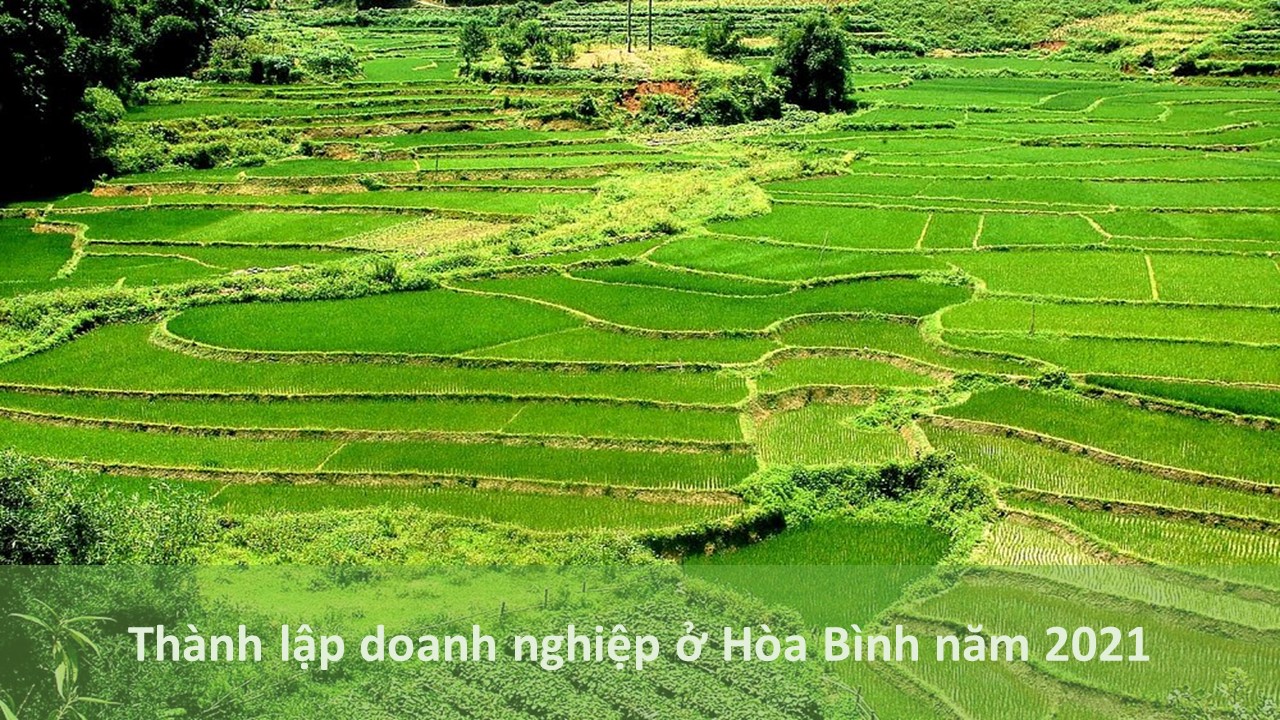 Thành Lập Doanh Nghiệp ở Hòa Bình Năm 2021