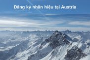 Đăng Ký Nhãn Hiệu Tại Austria