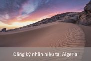Đăng Ký Nhãn Hiệu Tại Algeria