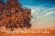 Đăng Ký Nhãn Hiệu ở Cuba