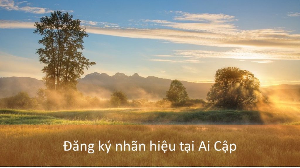 Đăng Ký Nhãn Hiệu Tại Ai Cập