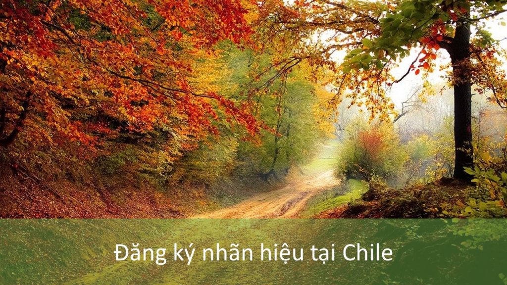 Đăng Ký Nhãn Hiệu Tại Chile