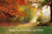 Đăng Ký Nhãn Hiệu Tại Chile