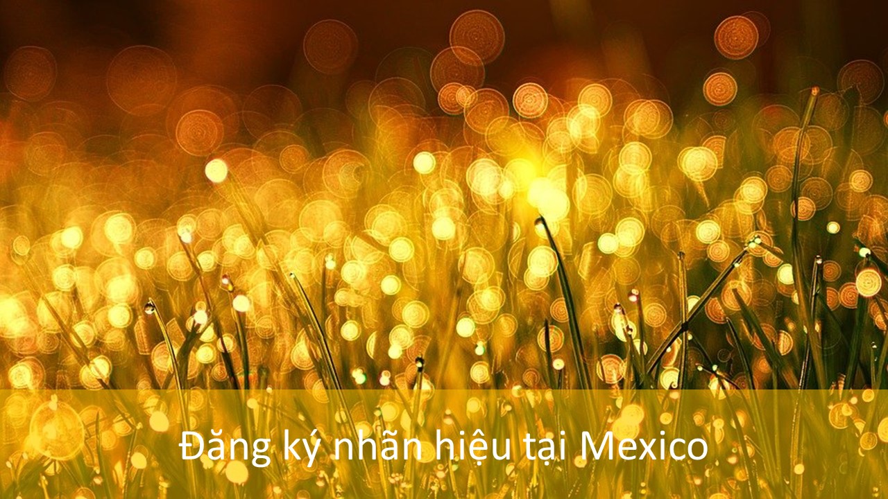 Đăng ký nhãn hiệu tại Mehico