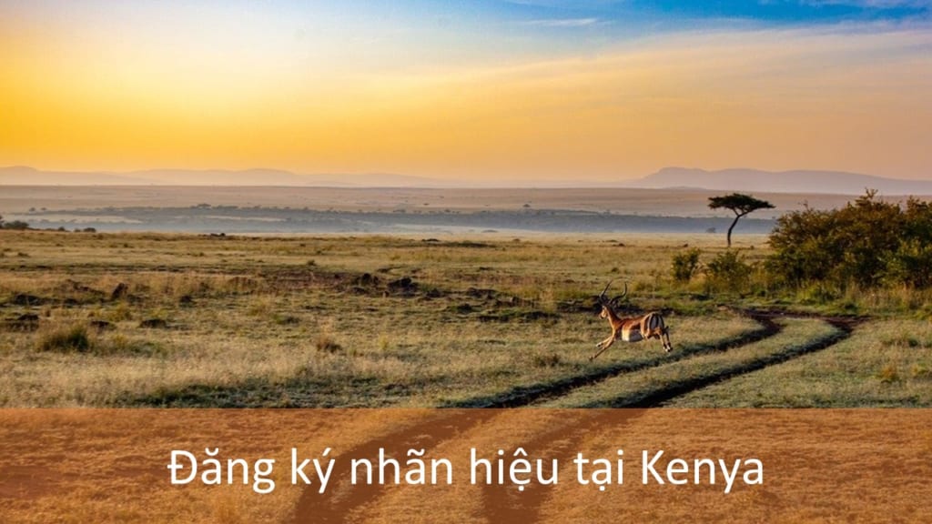 Hướng dẫn đăng ký nhãn hiệu tại Kenya 2021 10 Đăng Ký Nhãn Hiệu Tại Kenya