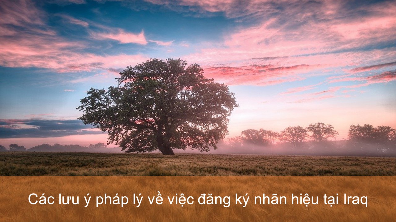 đăng ký nhãn hiệu tại Iraq