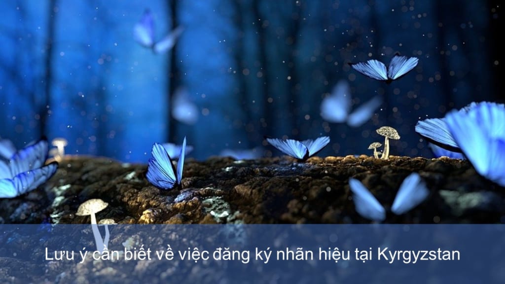Lưu ý cần biết về việc đăng ký nhãn hiệu tại Kyrgyzstan 1 đăng ký nhãn hiệu tại Kyrgyzstan