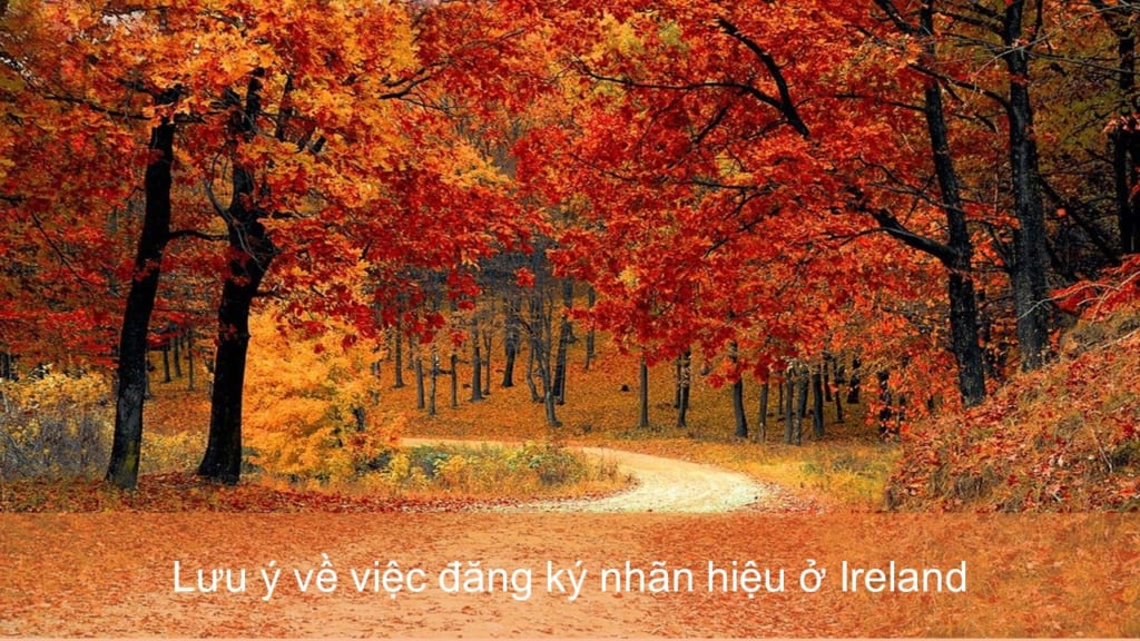 Lưu ý về việc đăng ký nhãn hiệu ở Ireland 4 đăng ký nhãn hiệu ở Ireland